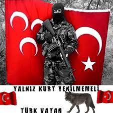 Https Encrypted Tbn0 Gstatic Com Images Q Tbn And9gcri8 Ko8q83ti Tuk 9 66q6wgmgjaxrp2mdg Usqp Cau