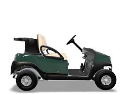 Image result for Green 2025 Fleet