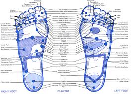 Reflexology Foot Chart This Is One Of The Better