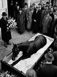 Man o' war, the greatest racehorse of all time