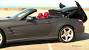 Hardtop Convertible Mustang