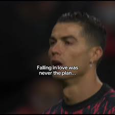 I Fell in Love at First Sight Mr Black Joules