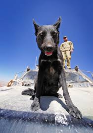 Joint Operations Command