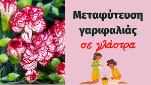 We did not find results for: Metafyteysh Garifalias Se Glastra Youtube