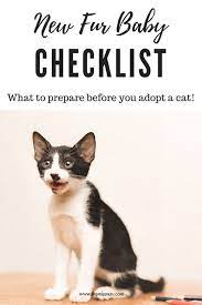 New Fur Baby Checklist What To Prepare Before You Adopt A Cat Catscarechecklist Cat Adoption Cat Training Kitten Adoption