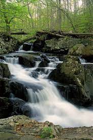 Check spelling or type a new query. Gunpowder Falls State Park Mapio Net