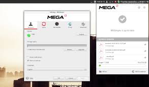 When researching our mega desktop app review, we found ourselves using the desktop app much like we use the apps of other cloud storage companies. Download Megasync Linux 2 1 2