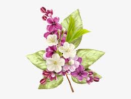 Clipart blumen 37 separate elemente: Vintage Flowers Tiefrosa Blumen Auf Tiefrosa Mit Goldpolka Punkt Kissen Png Image Transparent Png Free Download On Seekpng