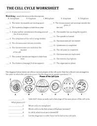 Cell Cycle Worksheet Answers Cells Worksheet Cell Cycle Biology Worksheet