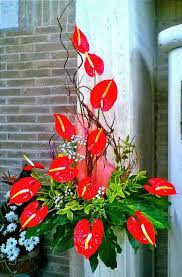 Pin By Julie On Pentecoste Tropical Flower Arrangements Fresh Flowers Arrangements Church Flower Arrangements