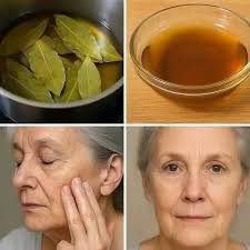 Grandma's Favorite Recipes