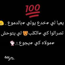 كلام صح Funny Quotes Arabic Funny Quotations