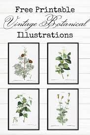 Christmas home tour to spark ideas for creating a magical christmas. 9 Super Easy Bathroom Wall Decor Ideas Bathroom Art Printables Bathroom Printables Bathroom Wall Art