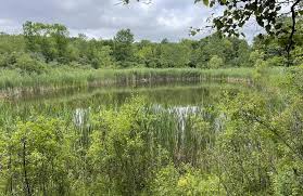 Woodland Hills Loop, Michigan