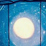 Swinging Under a Full Moon $30