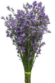 Limonium Blue Maine Light Purple Flowers Types Of Flowers Wedding Flower Guide