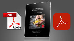 Download Pdf To Ipad Using Adobe Reader Youtube