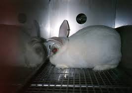 Bronner's, aveda, and seventh generation! Healthy Vegan And Cruelty Free Beauty Brands Peta2