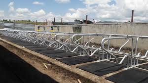 Plastik Hayvan Altligi Ciftlik Ekipmanlari