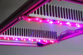 Accuwhite is spectrally engineered to maximize cri performance, and it delivers the company's highest color rendering. Led Tech De Online Shop