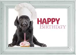 Send happy birthday wishes funny grumpy candle band video. Wenskaarten Online Sturen Voor Ieder Moment Greetz Happy Birthday Dog Birthday Wishes Funny Happy Birthday Pictures