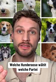 Hund Scheisst Auf Afd Plakat