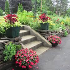 June 21 is the longest day of the year, and the extra light and warmth encourages the garden to put on an exuberant burst of growth. A Look At The 2018 End Of June Garden Here At Whimsey Hill House Fred Gonsowski Garden Home