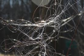 Use the fishing line first slide guide. 6 Tips To Prevent Line Twist On A Spinning Reel Skyaboveus