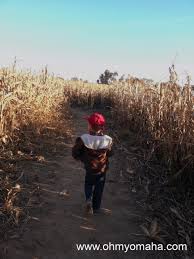 Maybe you would like to learn more about one of these? 5 Delightful Corn Mazes Near Omaha Oh My Omaha