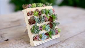 How to make a pallet succulent garden. Popsicle Stick Mini Pallet W Succulents Garden Answer Youtube