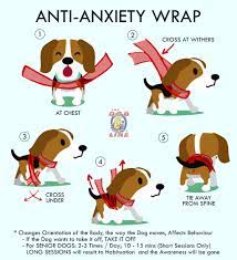 5 Steps To Help Your Dog Calm Down During Fireworks