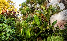 Jardin george delasselle 3.2 km. Jardin Exotique Et Botanique De Roscoff Finistere 29