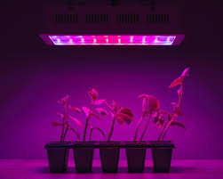 Check out our led grow lights collection, now with a lot more new and powerful lights! Best Led Grow Lights Reviews Uk 2021 Top 10 Comparison House Junkie