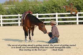 Collection by saddles n' stuff. Inspirations Warwick Schiller Inspirational Horse Quotes Horsemanship Quotes Horse Riding Quotes