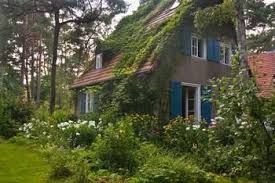 blaue fensterladen uberwuchert wilder garten garten garten landschaftsbau fassade haus