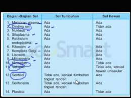 Sel tumbuhan memiliki dinding sel, plastida, dan vakuola yang tidak dimiliki sel hewan. Perbedaan Sel Hewan Dan Sel Tumbuhan Pengertian Gambarnya