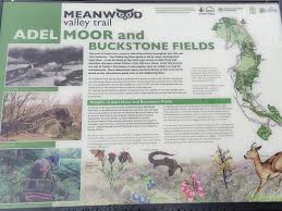 The Best Hiking Trails in Adel, England (United Kingdom)