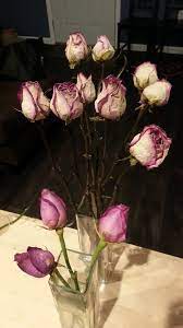Use a rubber band or twine to tie the stems together (if you have a bouquet). How To Dry Roses Perfectly 6 Steps With Pictures Instructables