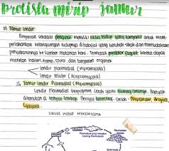 Check spelling or type a new query. Catatan Lengkap Materi Matematika Fisika Kimia Dan Biologi Tingkat Smp Dan Sma Mathcyber1997