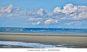 Boundary Bay Park Images Stock Photos Vectors Shutterstock