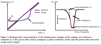 Reference material used in dsc. Fast Scan Differential Scanning Calorimetry European Pharmaceutical Review