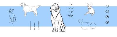 Use simple and almost invisible lines to depict the head, chest, and pelvis. How To Draw A Dog Step By Step Wacom