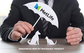 This entity was previously known as petfirst healthcare, llc and in some states continues to operate under that name pending approval of its application for a name change. Metlife Announces New Pet Insurance Product W7 News