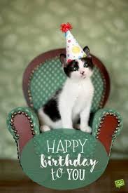 Browse 1,837 happy birthday cat stock photos and images available, or search for happy birthdays or happy birthday cake to find more great stock photos and pictures. 101 Funny Cat Birthday Memes For The Feline Lovers In Your Life