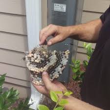 Located in the city of glasgow and servicing all of the central belt. Protekt Pest Solutions Raleigh Nc