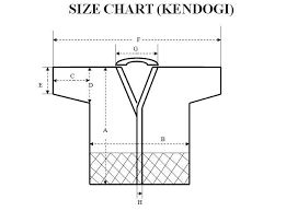 White Double Layer Kendo Aikido Iaido Gi 100 Cotton Martial