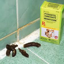 The primary active components in durvet triple wormer is pyrantel pamoate and praziquantel. Catzilla Pyrantel Embonate Nematocide Dewormer For Cats And Dogs