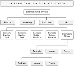 Organizational Structures In International Business