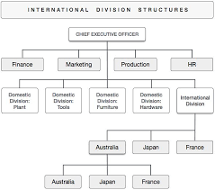 organizational structures in international business