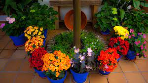 Disfruta de una refrescante ducha en el patio durante el verano o. La Flora En Los Patios De Cordoba Patios De Cordoba